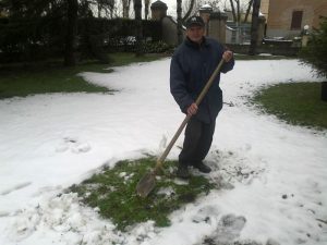 maestro de l'arte del giardino